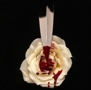 Meet your Posher, Ruby